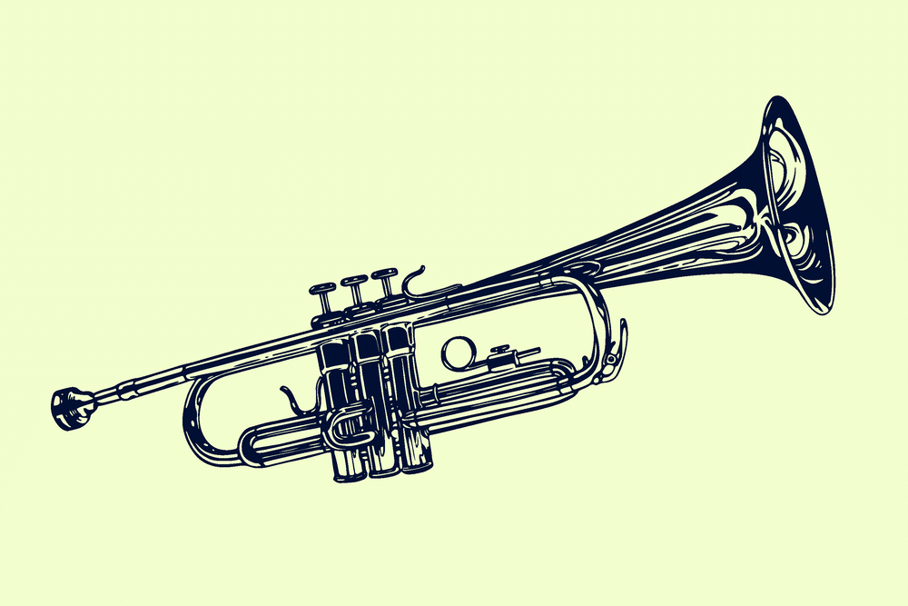 How to Play a Trumpet Properly? - Fire Inside Music