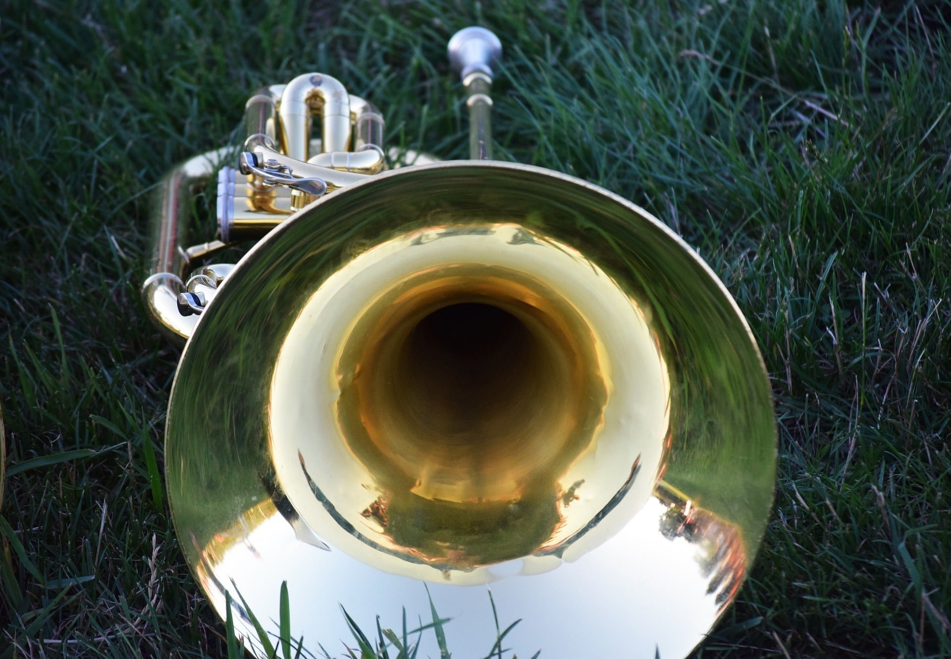 Bell - Parts of a Trumpet