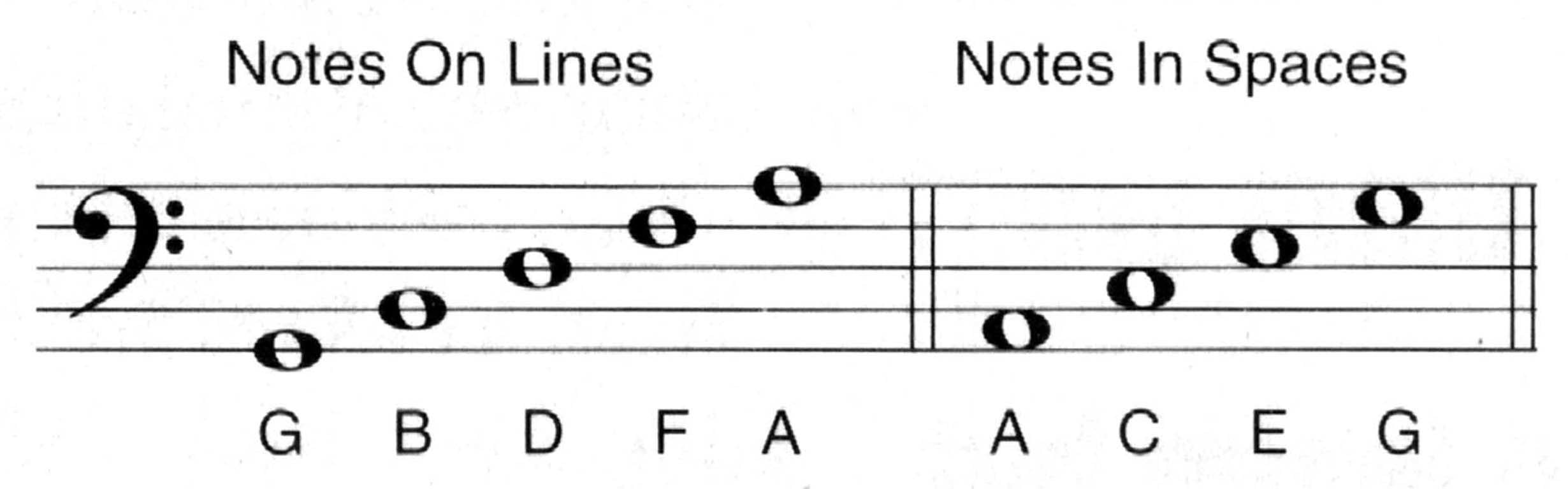 playing-bass-learn-to-read-bass-notes-the-bass-clef