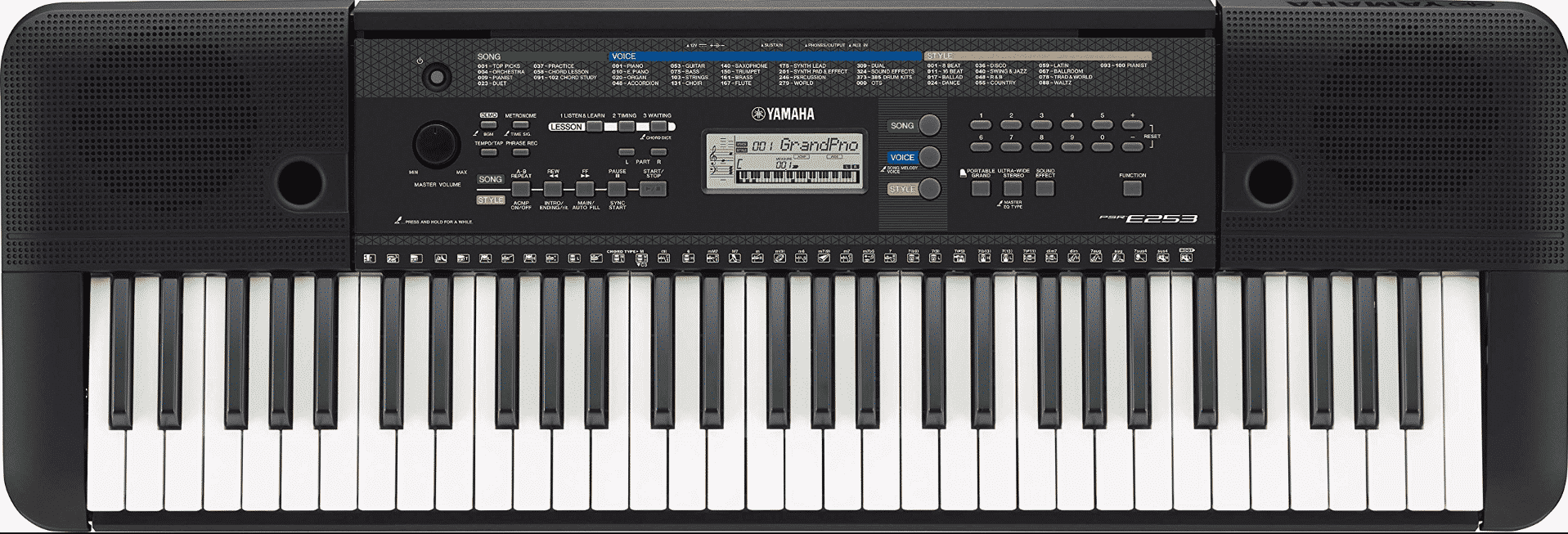 yamaha ypt 255 weighted keys